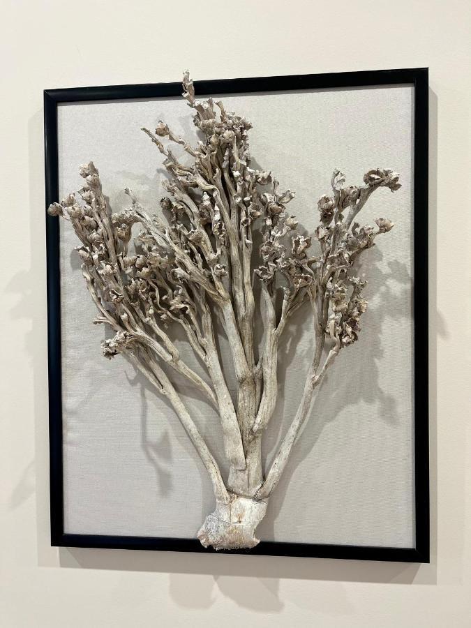 Apartamenty Kamienica Arte 4 Ustka Dış mekan fotoğraf